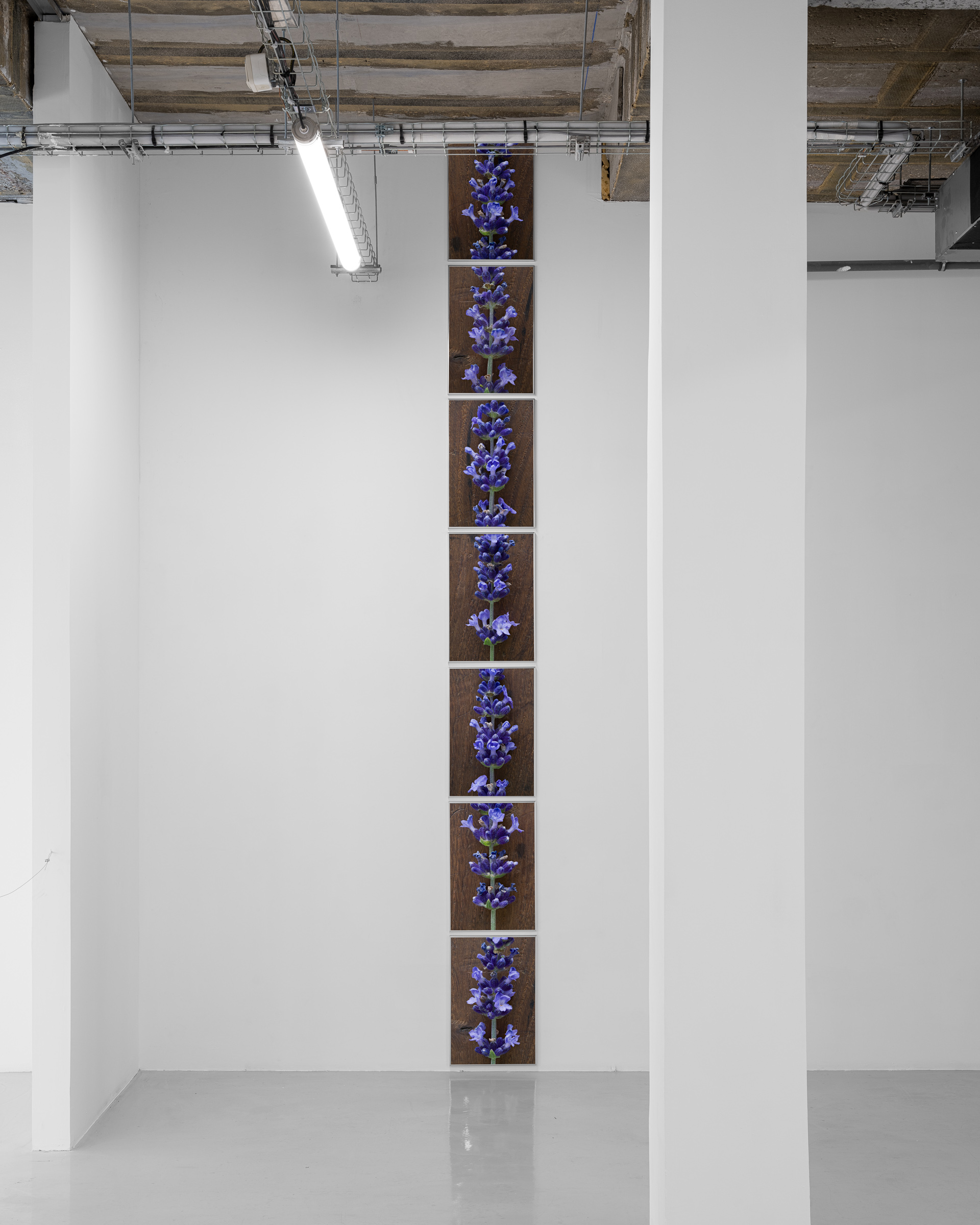 expanded photography